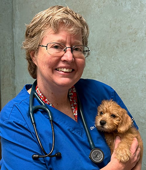 Dr. Jenee McWaters, Tucson Veterinarian